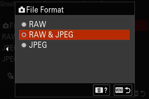raw plus jpeg