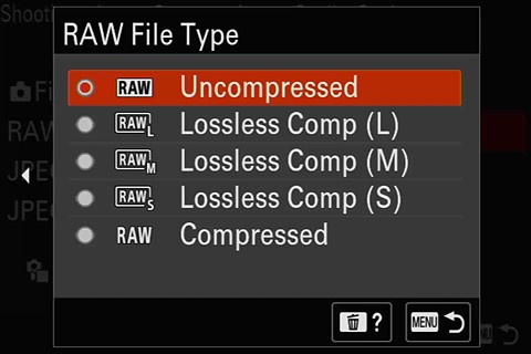 raw file type