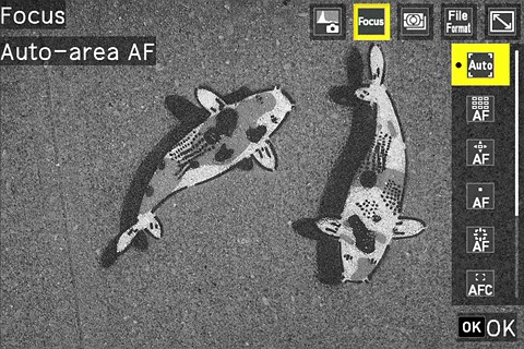 gr iv af menu adj