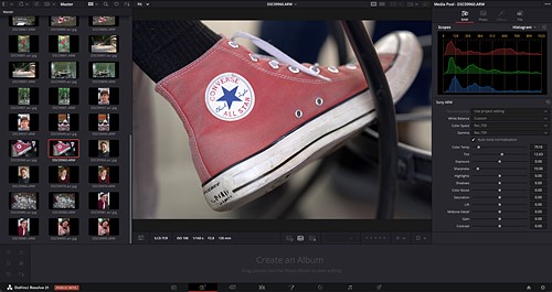 davinici resolve raw editor