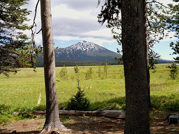 Montagne enneigée derrière un pré vert ensoleillé