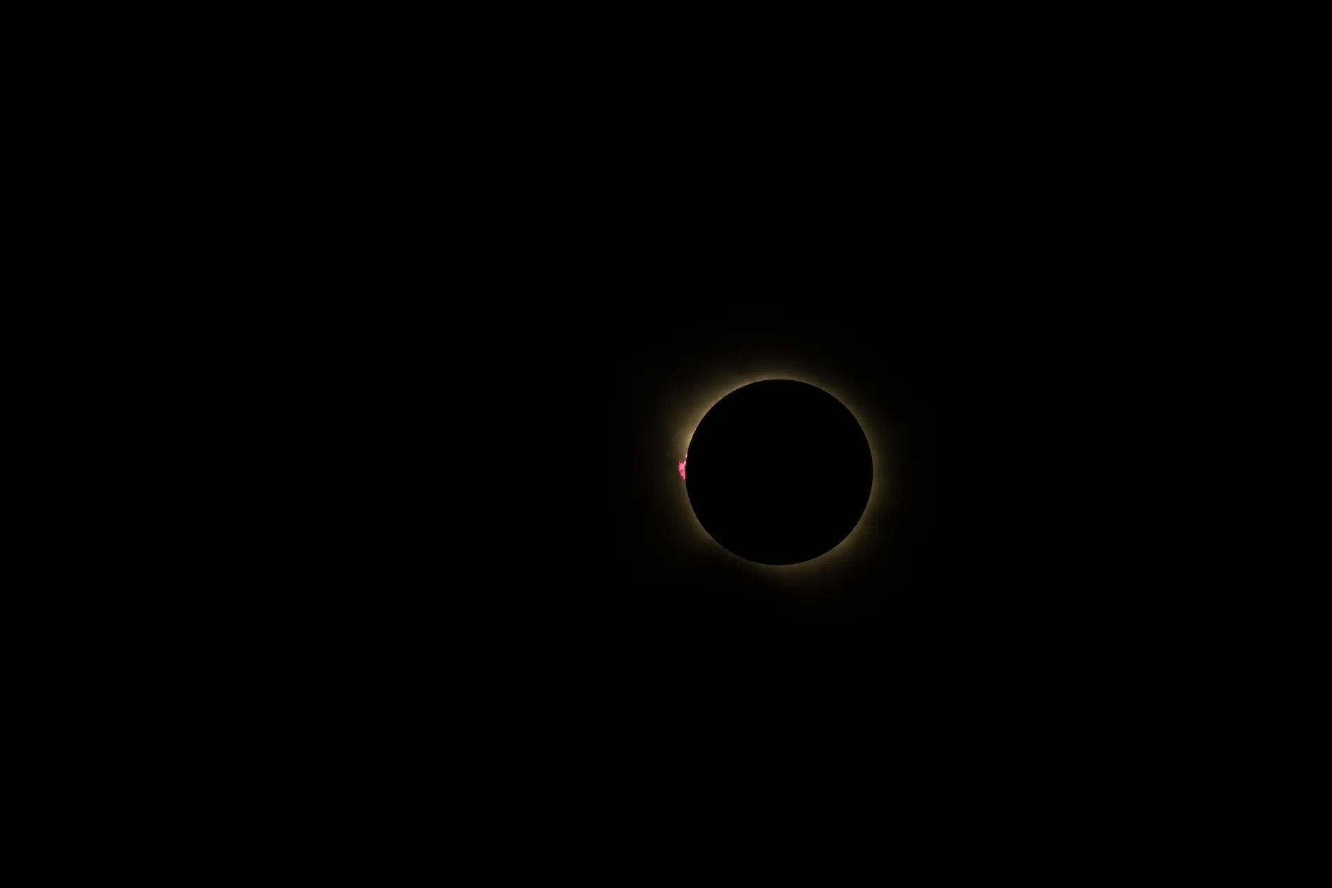 A purple solar flare erupts from the edge of an eclipse.