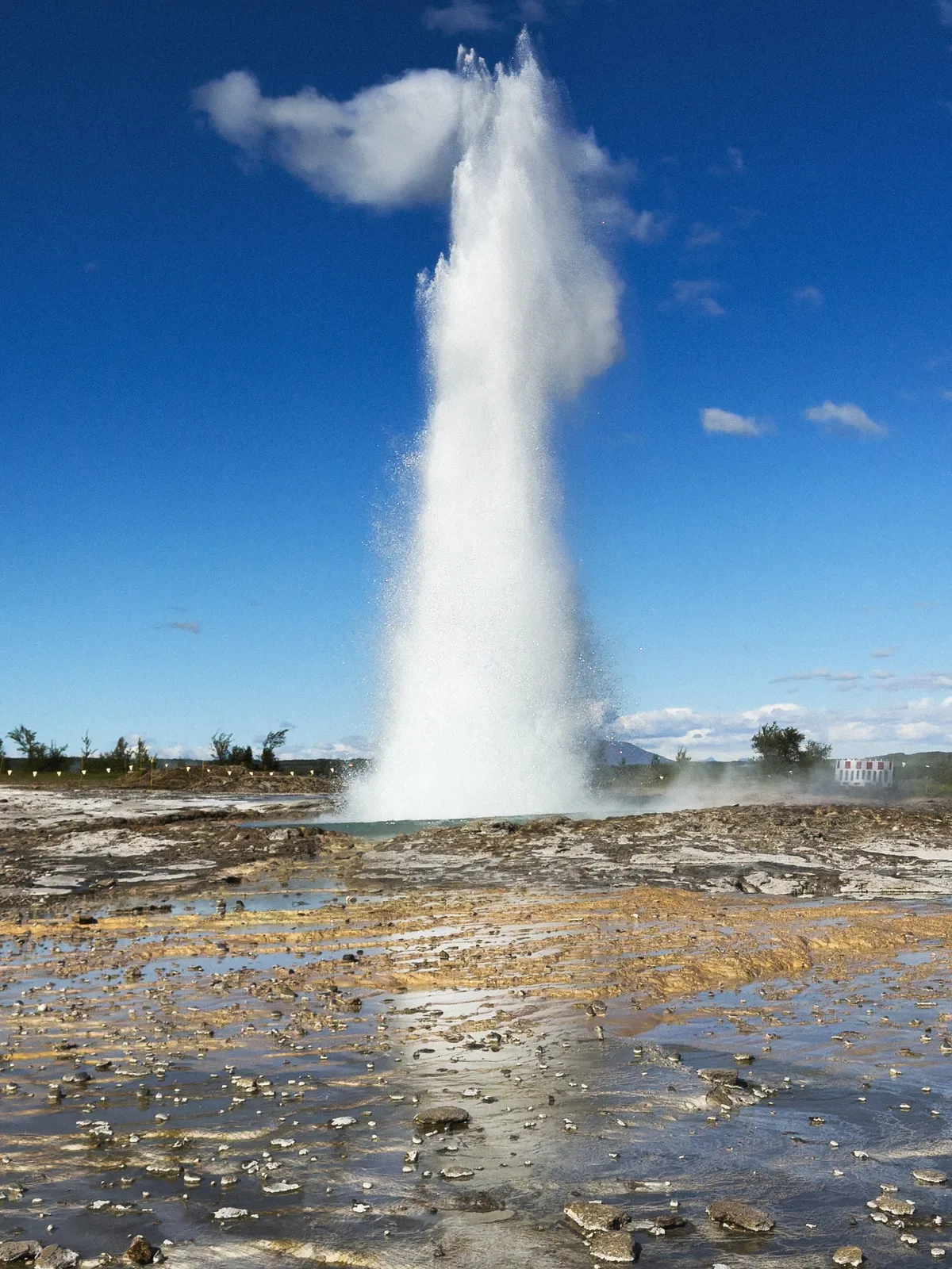 A tall column of water and steam erupts from a geyser under a bright blue sky, with wet, rocky ground in the foreground.