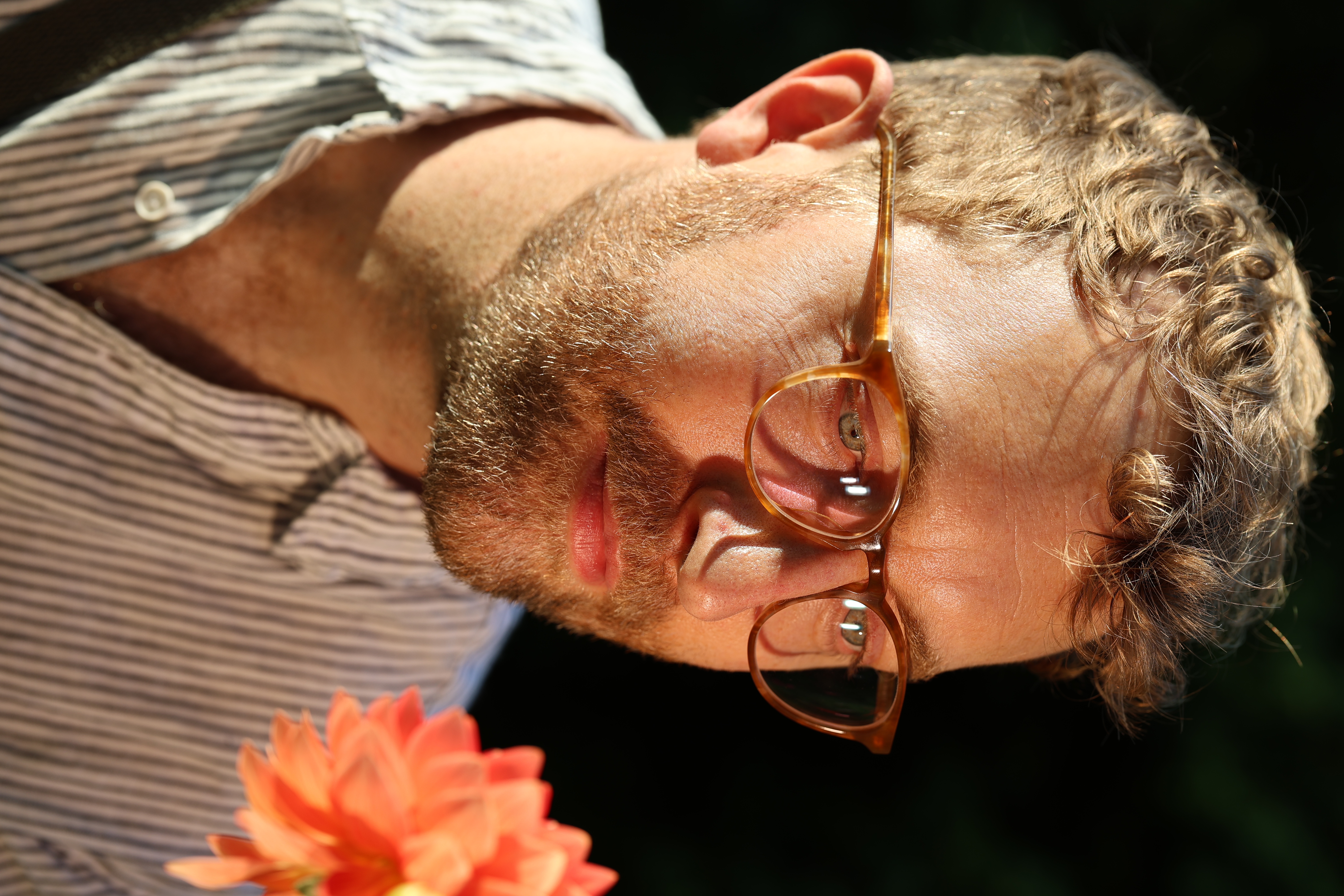 A man examines a dahlia, lit by evening sunshine and offboard flash