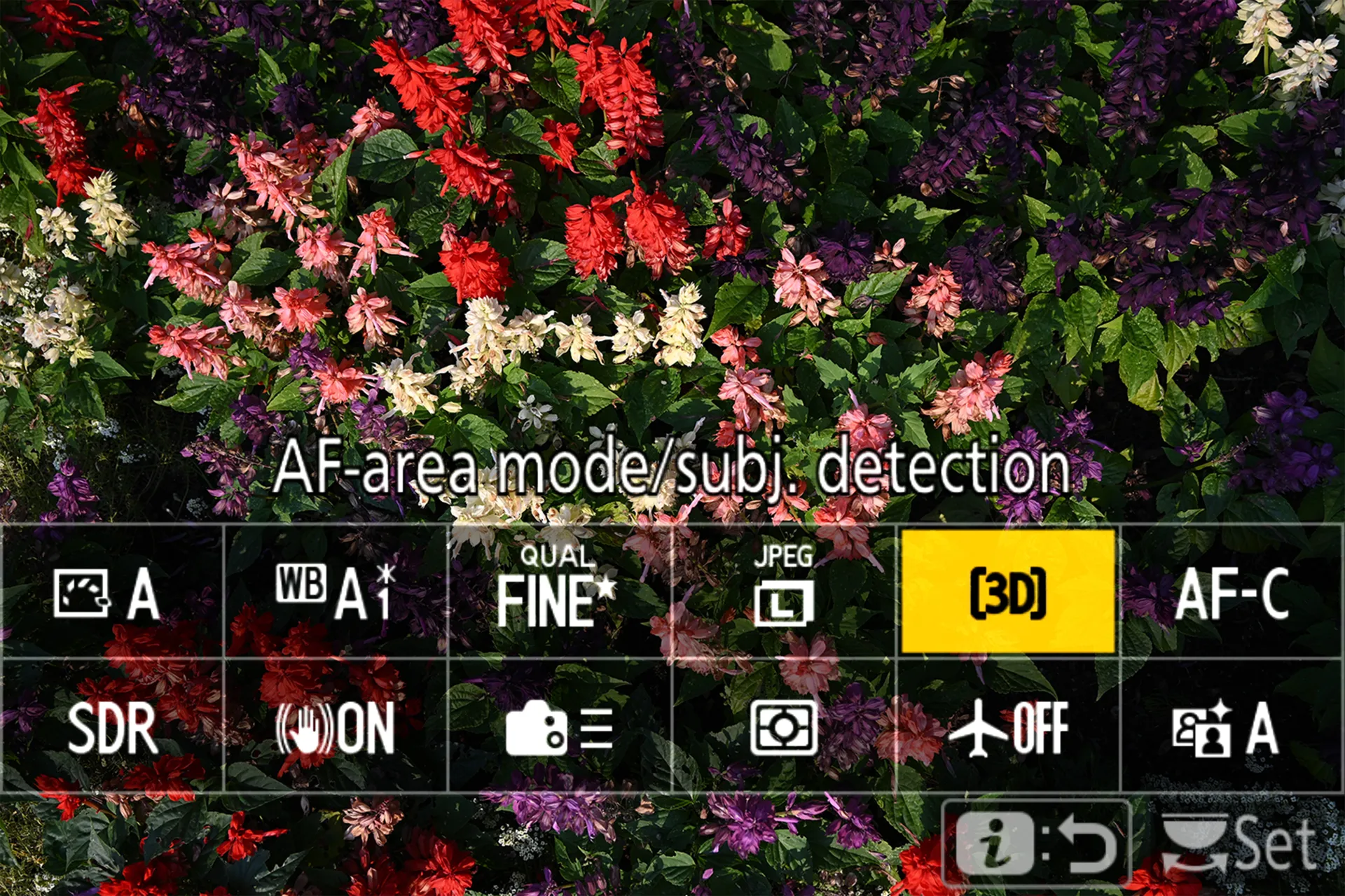 Screenshot of the Nikon 'i' menu showing 3D tracking selected.
