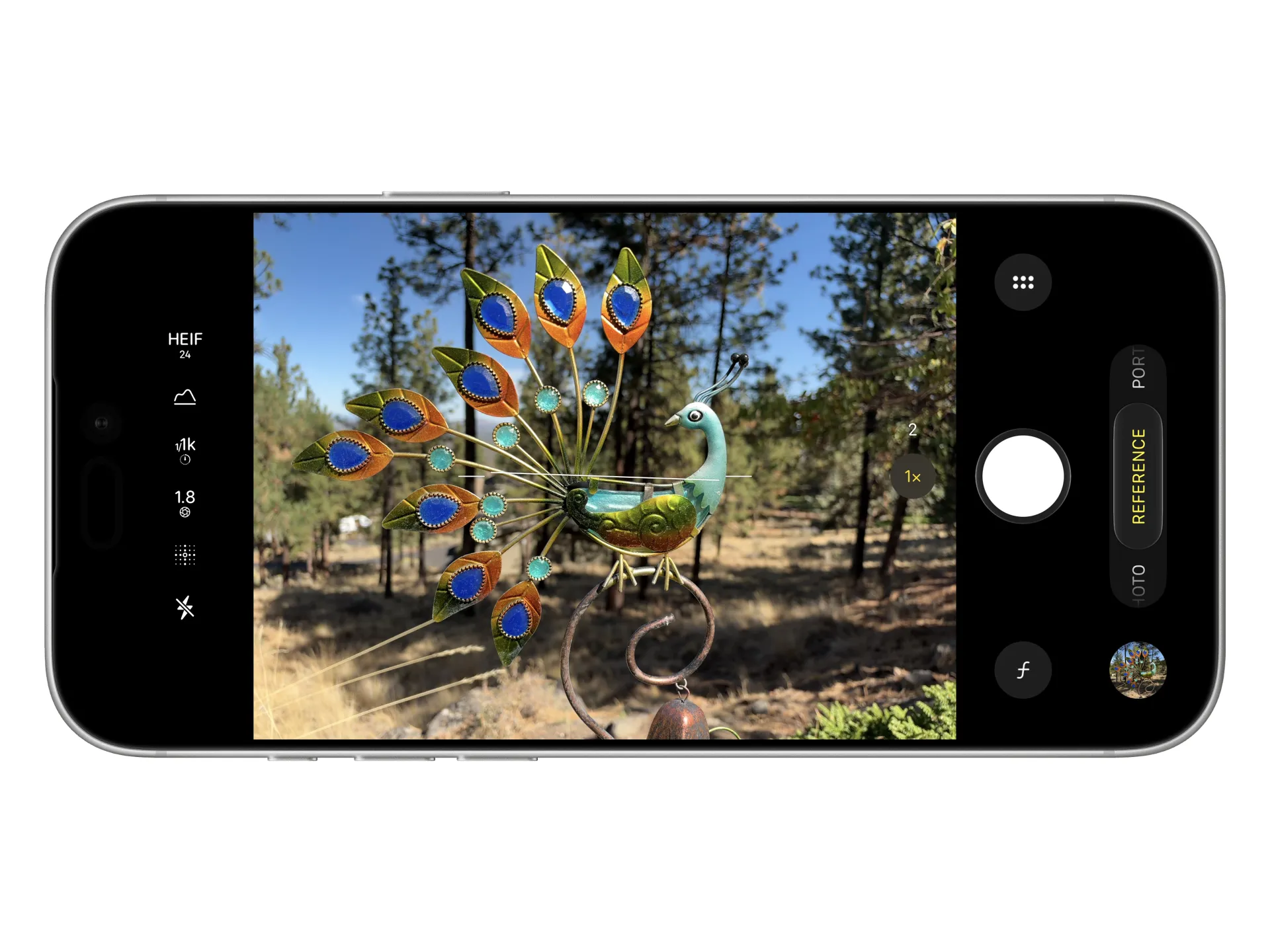 Screenshot showing an iPhone's camera app in the Apple Reference Image mode